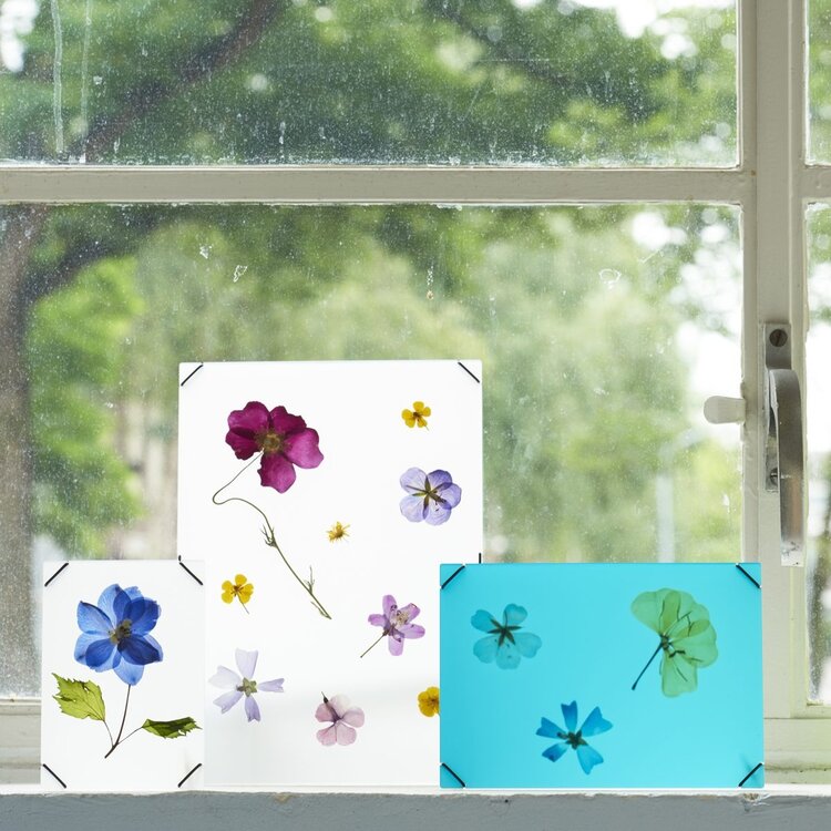 Carmela Bogman Flower Frame Transparant White Large