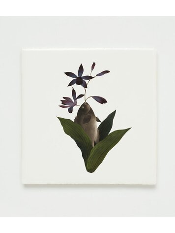 Lylies Wandtegel Collage Naturalis - The vulcano