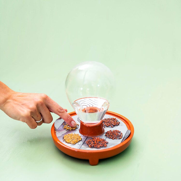 House of Thol Patella Crescenda kit