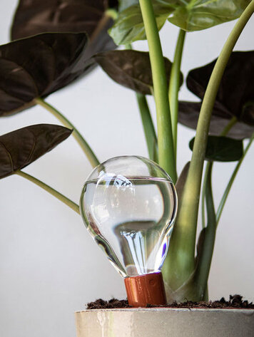 House of Thol Waterworks set