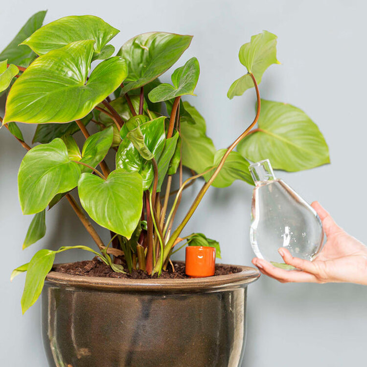 House of Thol Waterworks set