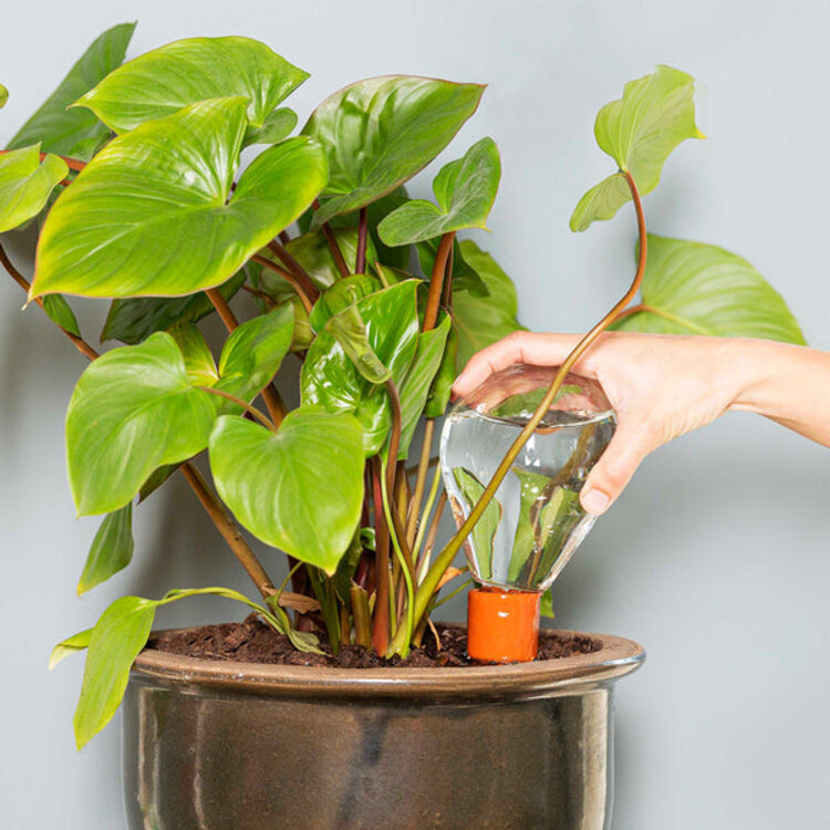 House of Thol Waterworks set