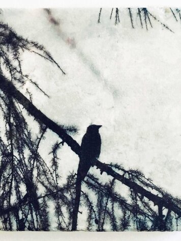 Karen Winnubst Nature Art Tiles Birds 3