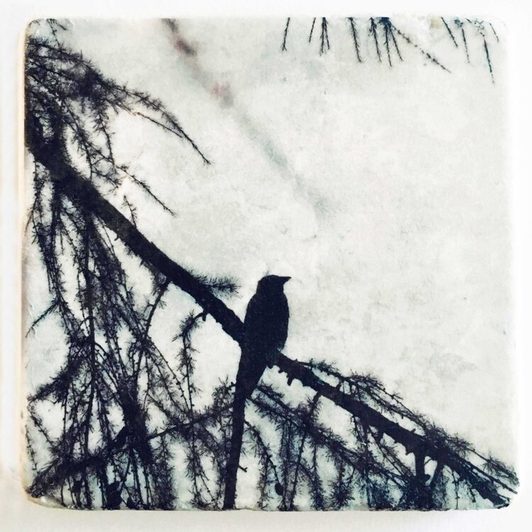 Karen Winnubst Nature Art Tiles Birds 3