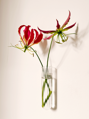 Muurbloempjes Muurbloempje XL Transparant