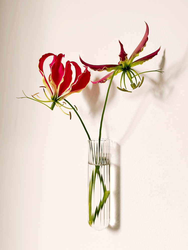 Muurbloempjes Muurbloempje XL Transparant