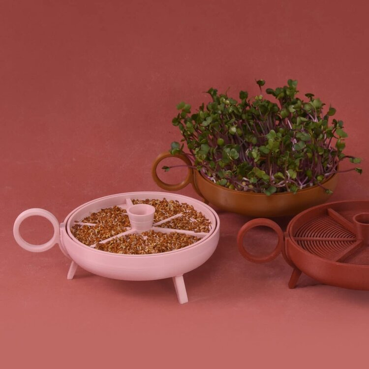Studio Harm&Elke Sprouting planter Red