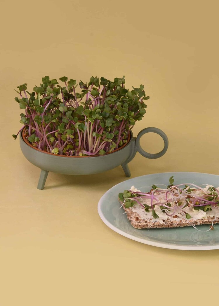 Studio Harm&Elke Sprouting planter Green