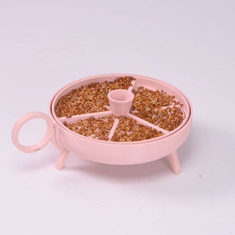 Studio Harm&Elke Sprouting planter Pink