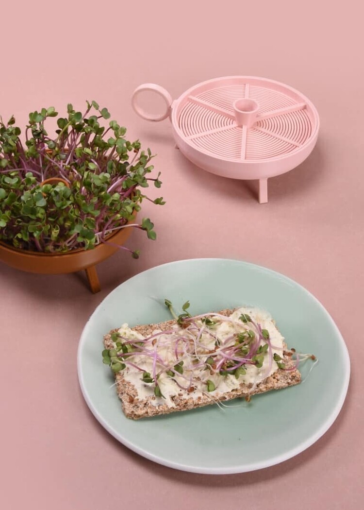 Studio Harm&Elke Sprouting planter Pink