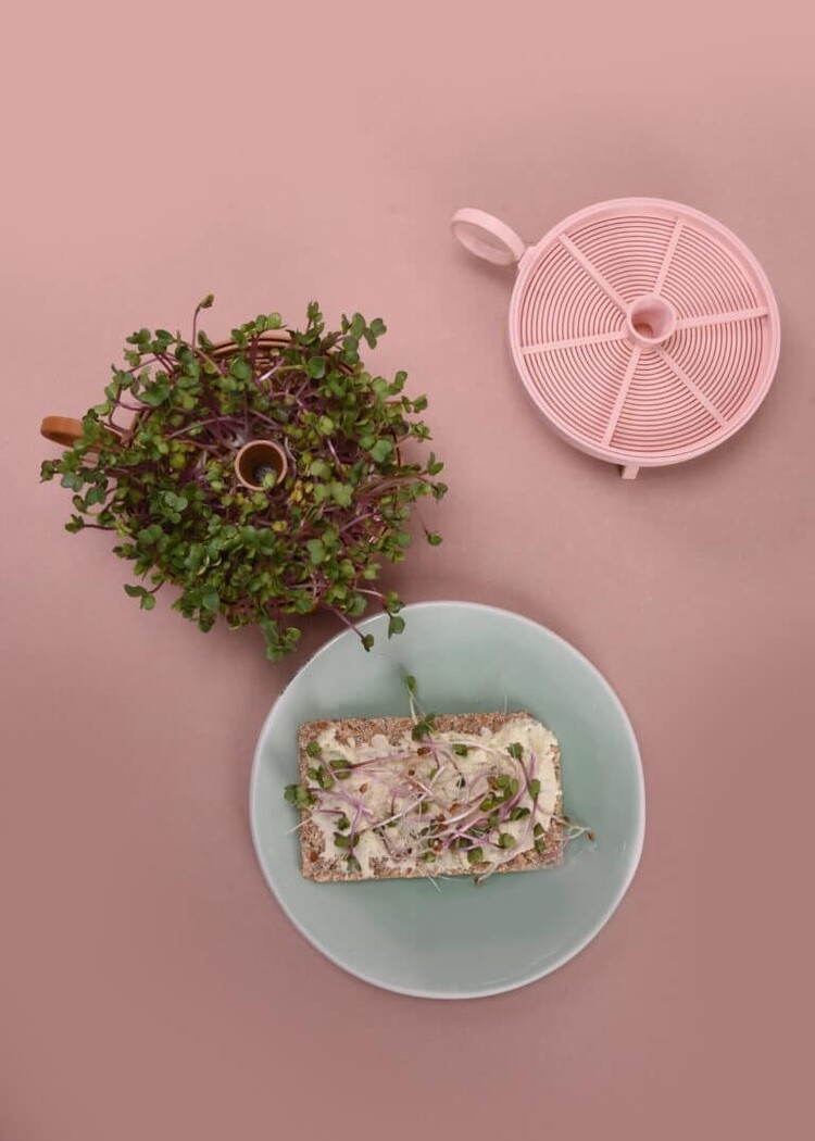 Studio Harm&Elke Sprouting planter Pink