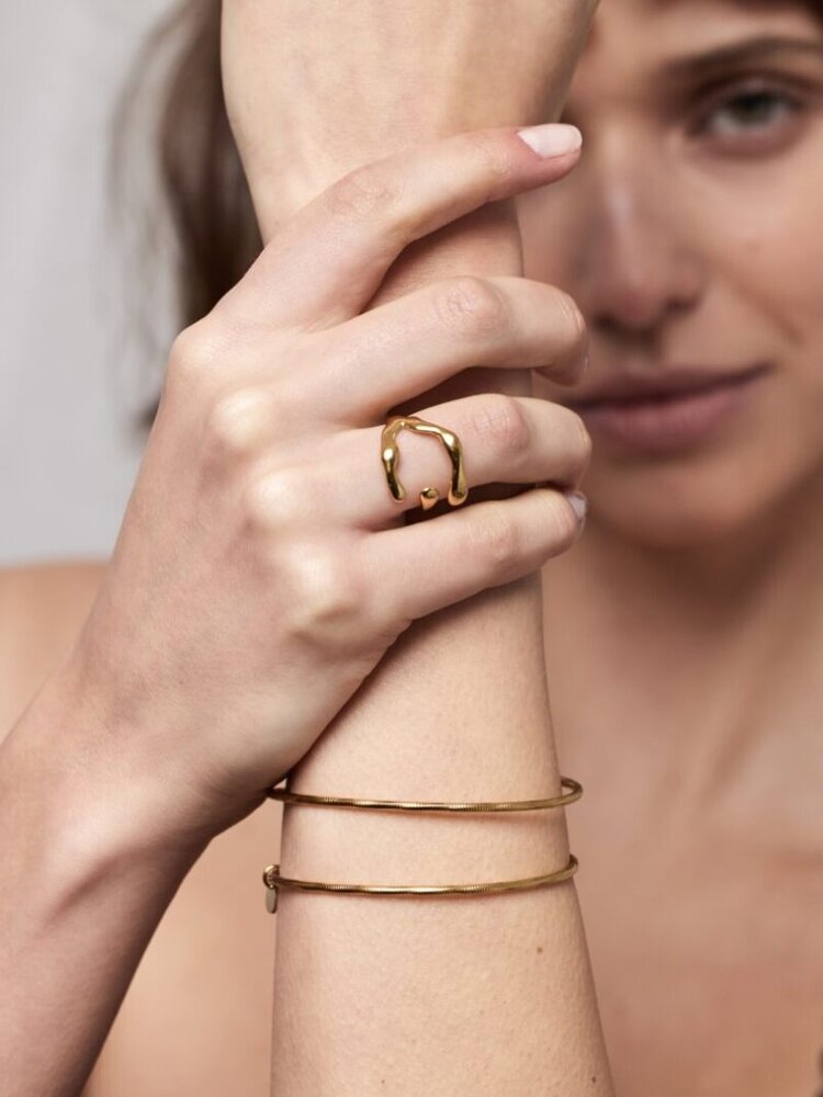 Ellen Beekmans Bangle met patroon 2-delig goudkleurig