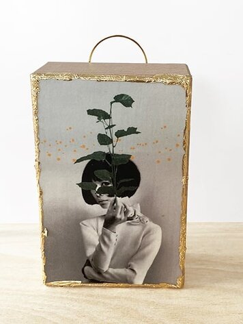 Studio The cube Vintage Block Behind a plant