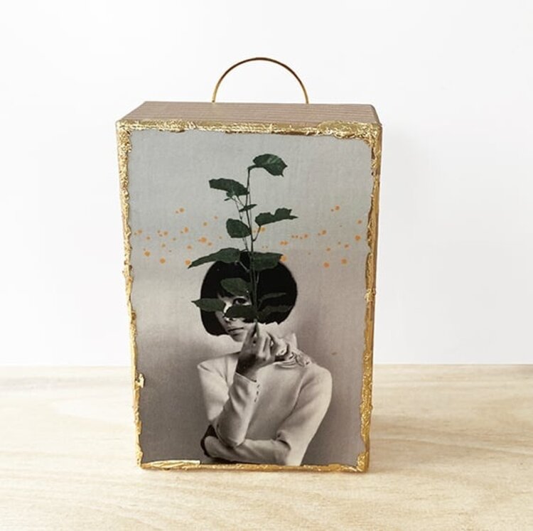 Studio The cube Vintage Block Behind a plant