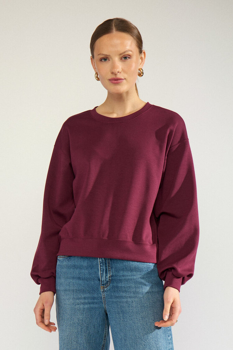 Nümph NUMARA SWEAT Fig
