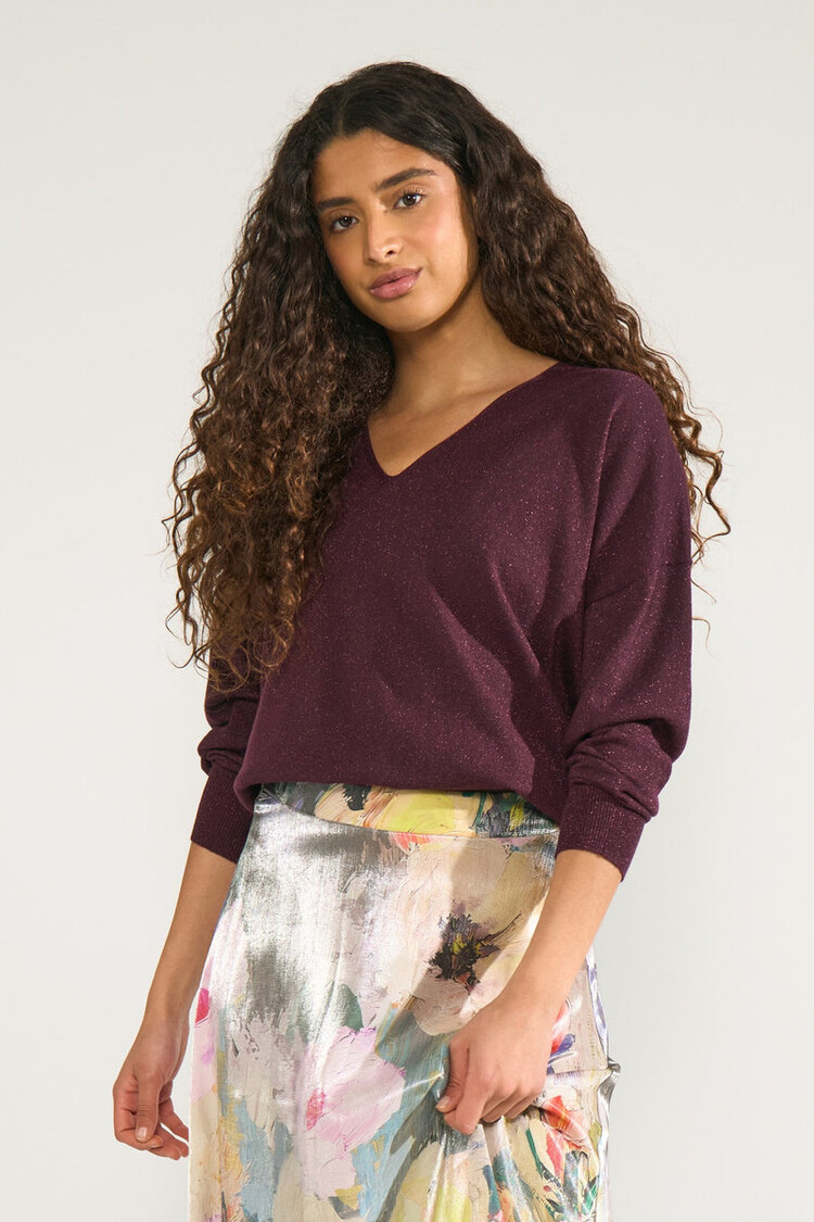 Nümph NUDAYLETTA LUREX V-NECK PULLOVER Fig
