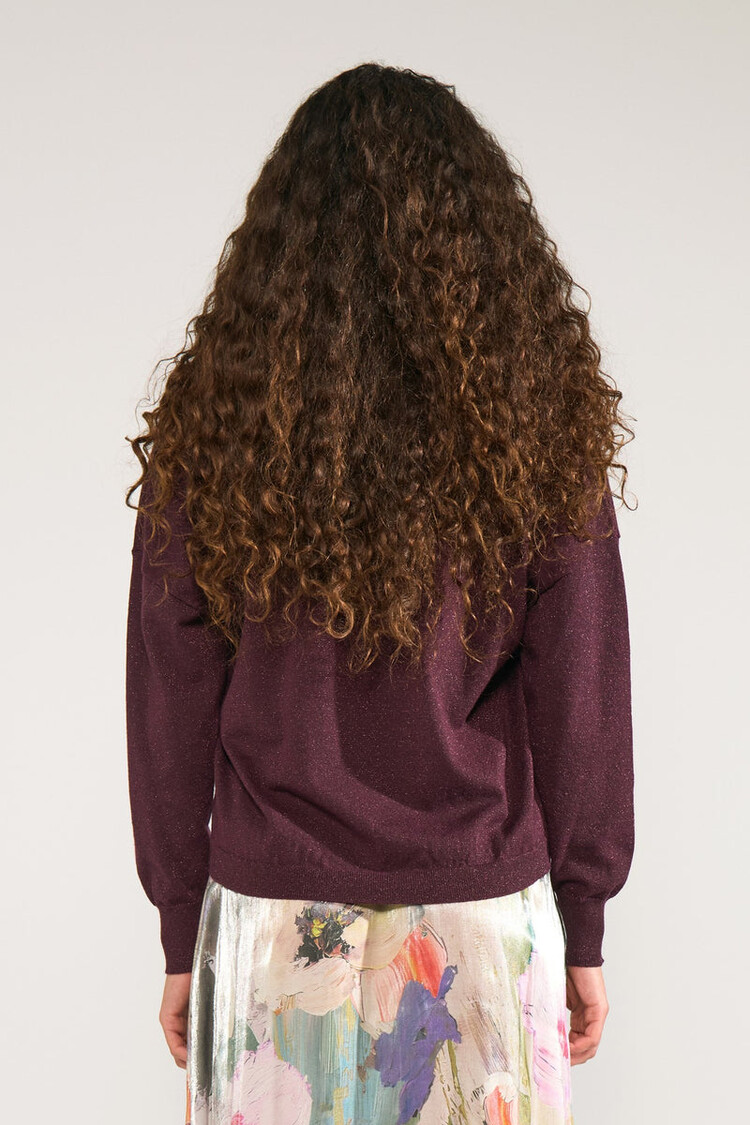 Nümph NUDAYLETTA LUREX V-NECK PULLOVER Fig