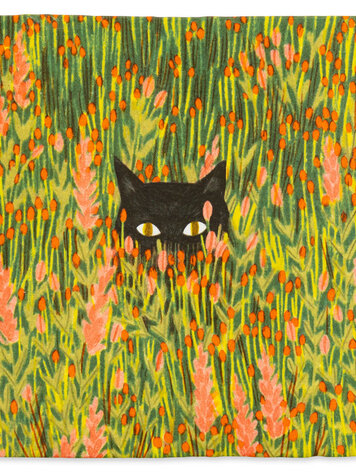 Storytiles Storytiles Hide & Seek M