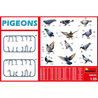 MiniArt Tauben / Pigeons - 1:35