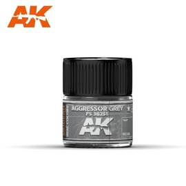 AK Interactive AK Interactive Real Colors Air - RC248 Aggressor Grey FS 36251