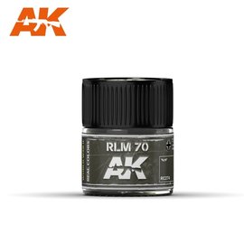 AK Interactive AK Interactive Real Colors Air - RC274 RLM 70