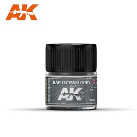 AK Interactive AK Interactive Real Colors Air - RC288 RAF Ocean Grey