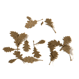 AK Interactive Oak dry leaves / vertrocknete Eichenblätter