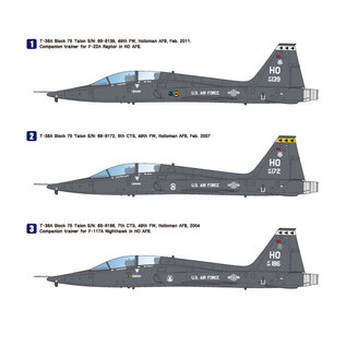 Wolfpack-Design Northrop T-38A Talon "Holloman AFB" - 1:48