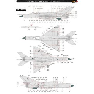 AK Interactive MiG-21 PFM - Special Edition "Days of Glory and Oblivion" - 1:48