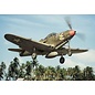 BRENGUN Bell P-39 D/F/K Airacobra - 1:144