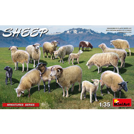 MiniArt MiniArt - Sheep - 1:35