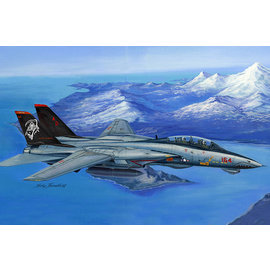 HobbyBoss HobbyBoss - Grumman F-14D Super Tomcat - 1:48