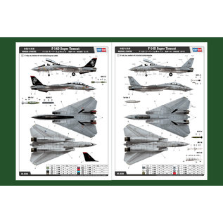 HobbyBoss Grumman F-14D Super Tomcat - 1:48