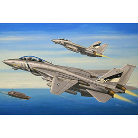 HobbyBoss HobbyBoss - Grumman F-14D Super Tomcat - 1:72