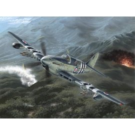 Special Hobby Special Hobby - Fairey Firefly Mk.4/5 "Korean War" - 1:48