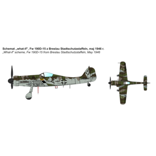 IBG Models Focke-Wulf Fw 190D-15 Torpedo Bomber - 1:72