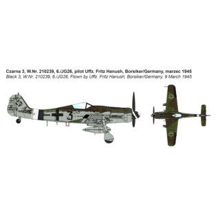 IBG Models Focke-Wulf Fw 190D-9 Cottbus - 1:72