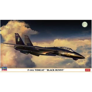 Hasegawa Grumman F-14A Tomcat "Black Bunny" - 1:72
