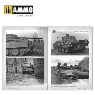 AMMO by MIG Panthers. Modeling the TAKOM Family