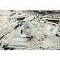 Revell Millenium Falcon - 1:72