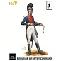 HäT Napoleonic Bavarian Infantry Command - 1:32