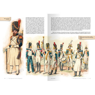 Abteilung 502 Imperial Guard of Napoleon