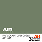AK Interactive RAF Cockpit Grey-Green