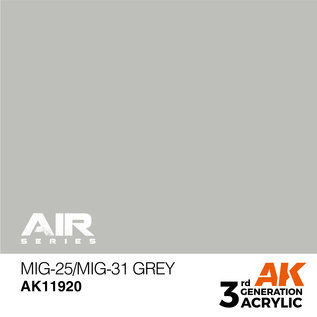 AK Interactive MiG-25/MiG-31 Grey