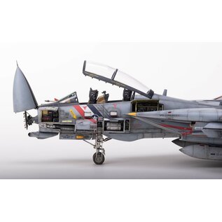 AMK - Avantgarde Model Kits Grumman F-14D Super Tomcat - SIO-Models Details - 1:48