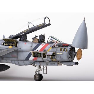 AMK - Avantgarde Model Kits Grumman F-14D Super Tomcat - SIO-Models Details - 1:48