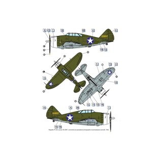 Dora Wings Republic P-43 Lancer (Reconnaissance) - 1:72