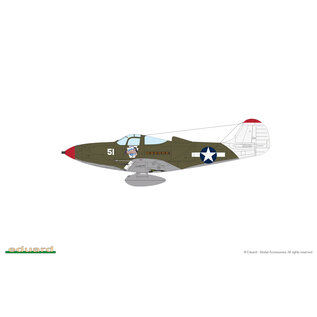 Eduard Bell P-39N Airacobra - ProfiPack - 1:48