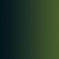 Vallejo Armor Green - XPress Color