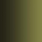Vallejo Camouflage Green - XPress Color